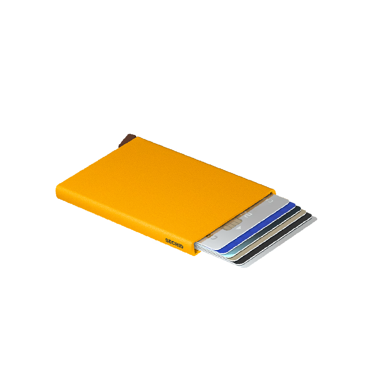 Card Protector | Powder